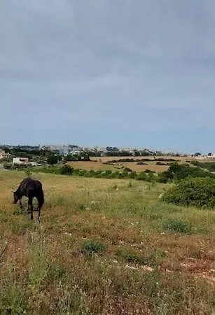 Trullo La Chicca Della Valle 4*