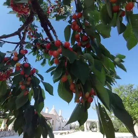 Trullo La Chicca Della Valle 4*