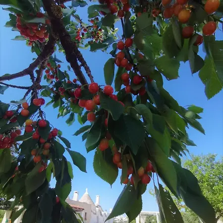 Trullo La Chicca Della Valle