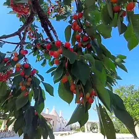Trullo La Chicca Della Valle 4*